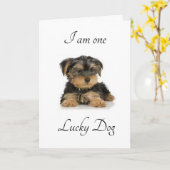 ICH BIN "VERHEIRATET IHNEN" LUCKY DO ICH BIN KARTE (Gelbe Blume)