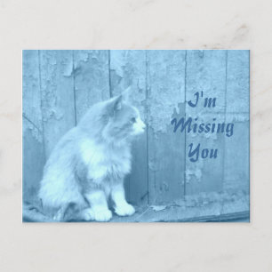 Ich bin Vermisst, Sie/Blue Sahara Postkarte zu hab