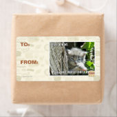 Ich bin verrückt (Insitu)