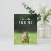 Ich bin verrückt nach dir | Eichhörnchen Modern Fu Postkarte (Stehend Vorderseite)