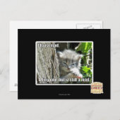 Ich bin verrückt postkarte (Vorne/Hinten)