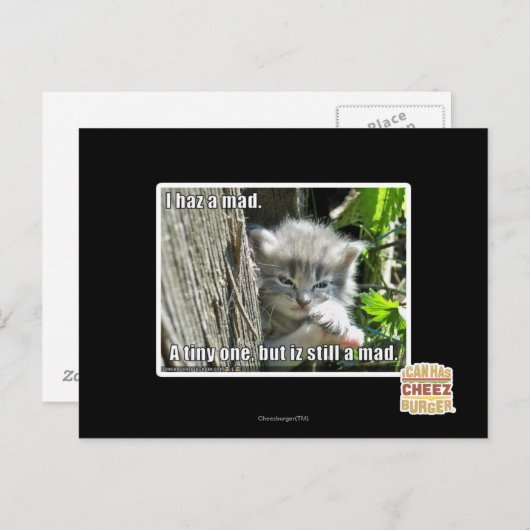 Ich bin verrückt postkarte (Vorne/Hinten)