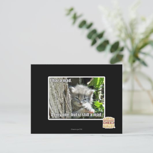 Ich bin verrückt postkarte (Stehend Vorderseite)