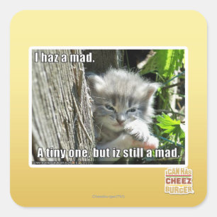 Ich bin verrückt quadratischer aufkleber