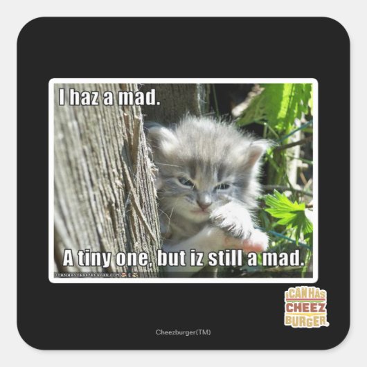 Ich bin verrückt quadratischer aufkleber (Vorderseite)