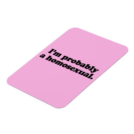 ICH BIN WAHRSCHEINLICH EIN HOMOSEXUAL MAGNET (Linke Seite)