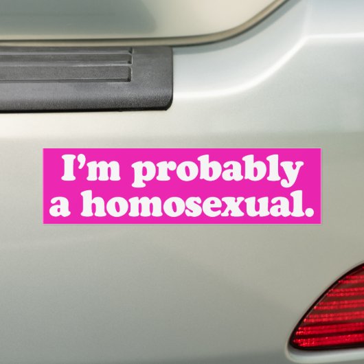 Ich bin wahrscheinlich ein Homosexueller -.png Autoaufkleber (Auf Auto)