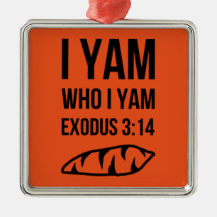 Ich bin, wem ich Exodus-Spaß bin Silbernes Ornament