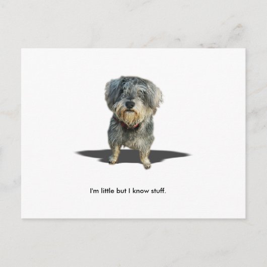 Ich bin wenig, aber ich kenne Material Postkarte (Vorderseite)