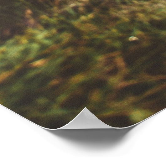 "Ich bin wieder gesund" J Muir Nature Achtsamkeit Poster (Ecke)