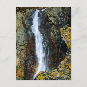 ICH BIN ZU ALLEIN AUF DER WELT POSTKARTE