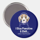 Ich Bleibe Pawsitive und Chill Beagle Funny Dog Magnet (Vorderseite/Rückseite)