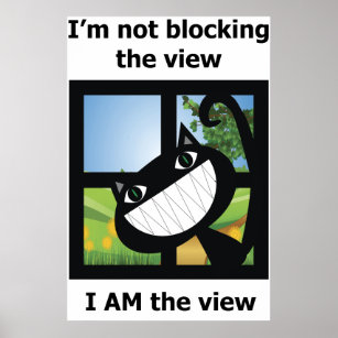 Ich blockiere nicht das Fenster View Cat pet Poster