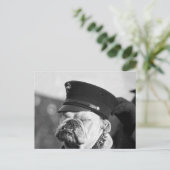 Ich brauche ein Nickerchen: 1923 Postkarte (Stehend Vorderseite)