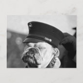 Ich brauche ein Nickerchen: 1923 Postkarte (Vorderseite)