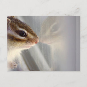 Ich brauche einen Freund Postkarte