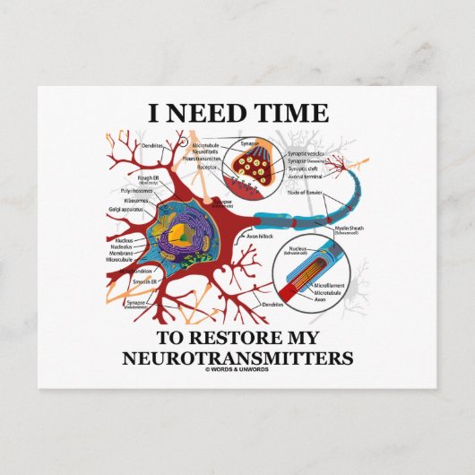Ich brauche Zeit, um meine Neurotransmitter wieder Postkarte (Vorderseite)