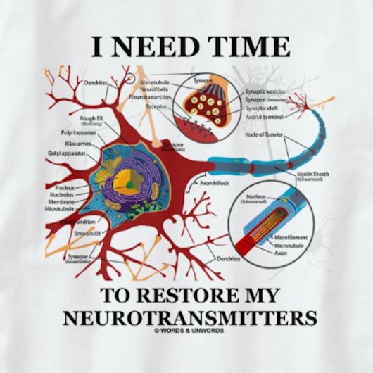 Ich brauche Zeit, um meine Neurotransmitter wieder T-Shirt