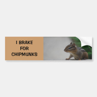 Ich bremse für Chipmunks-Autoaufkleber Autoaufkleber