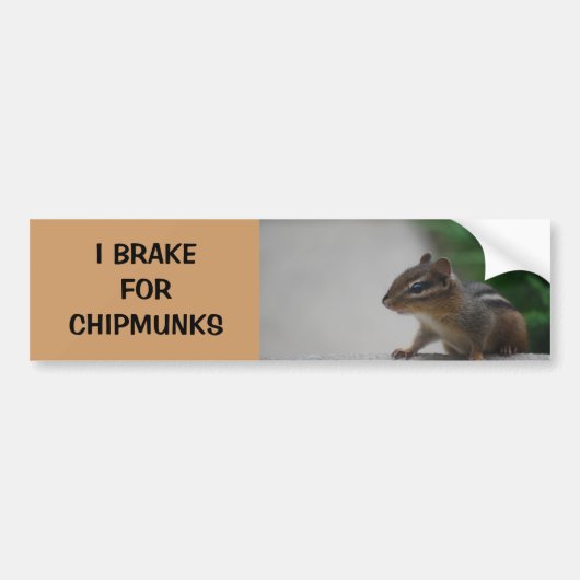Ich bremse für Chipmunks-Autoaufkleber Autoaufkleber (Vorne)