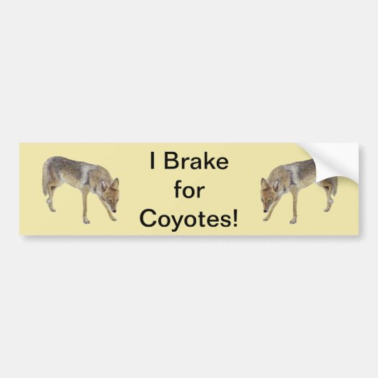 Ich bremse für Coyotes Autoaufkleber (Vorne)