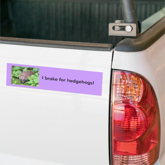 Ich bremse für Igel! Autoaufkleber (Auf Lkw)