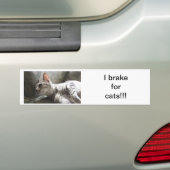 Ich bremse für Katzen Autoaufkleber (Auf Auto)