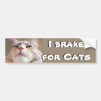 Ich bremse für Katzen Autoaufkleber