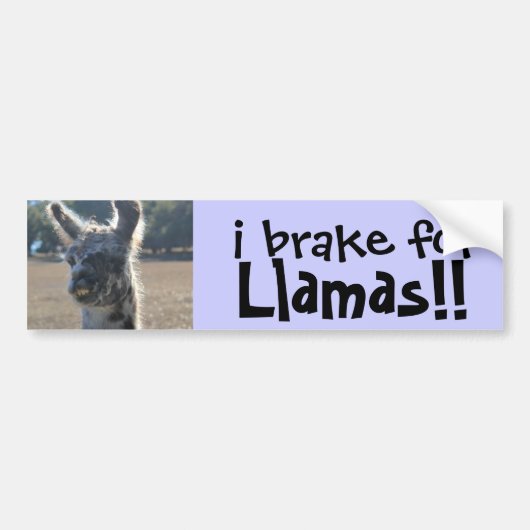 ich bremse für Lamas! niedlicher Autoaufkleber (Vorne)