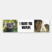 Ich bremse für wild lebende Tiere