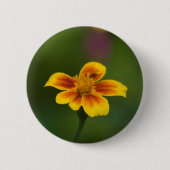 Ich Button (Vorderseite)