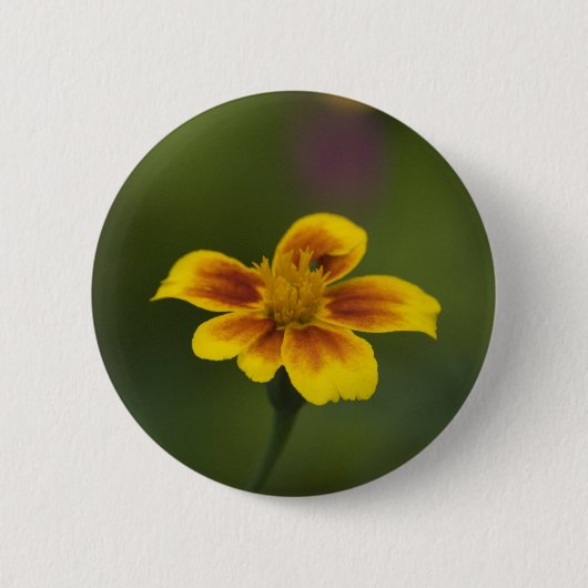 Ich Button (Vorderseite)