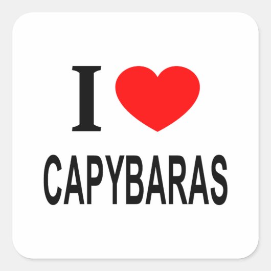 ICH ❤️ CAPYBARAS I LIEBE CAPYBARAS I HERZ CAPYBARA QUADRATISCHER AUFKLEBER (Vorderseite)