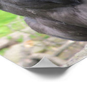 Ich dachte, du wärst intelligent. poster (Ecke)