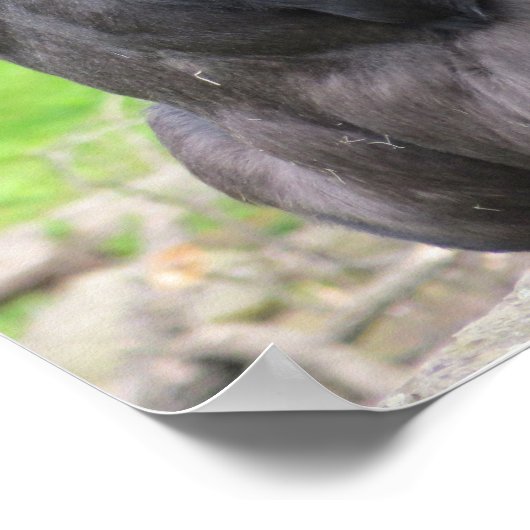 Ich dachte, du wärst intelligent. poster (Ecke)