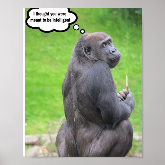 Ich dachte, du wärst intelligent. poster (Vorne)