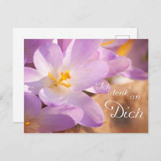 Ich denk an Dich Postkarte (Vorne/Hinten)