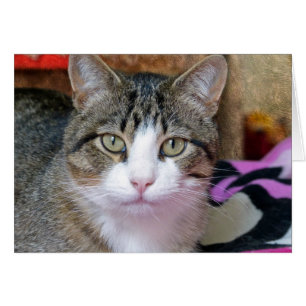 Ich denke darüber nach