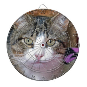 Ich denke darüber nach dartscheibe