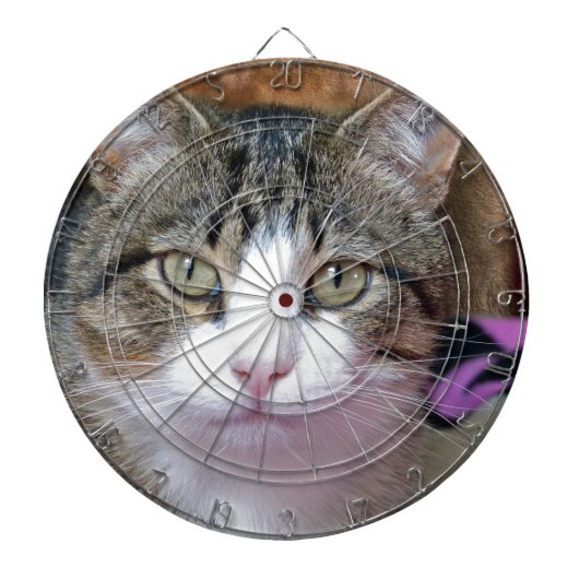 Ich denke darüber nach dartscheibe (vorne)