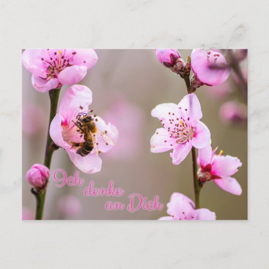 Ich denke dich! postkarte (Vorderseite)