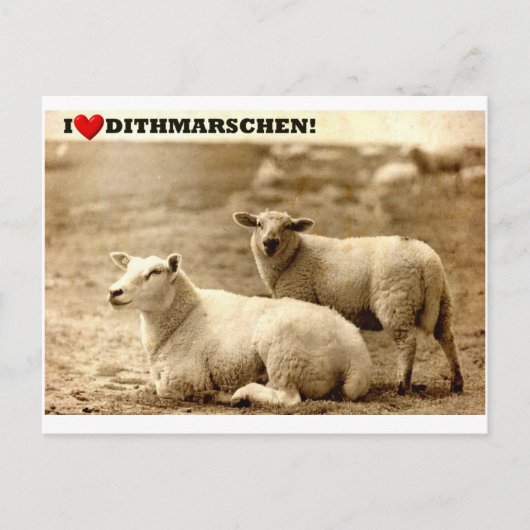 Ich ♥ Dithmarschen! Postkarte (Vorderseite)