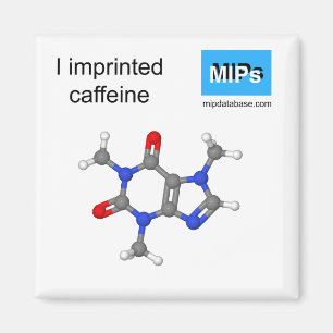 Ich drückte Coffein-Magnetkugel und Stick Magnet