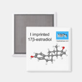 Ich drückte Estradiol-Magnetkugel und -stift ein Magnet (Vorderseite/Rückseite)