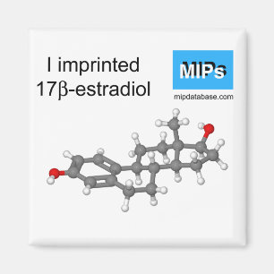 Ich drückte Estradiol-Magnetkugel und -stift ein Magnet
