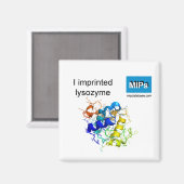 Ich drückte Lysozym-Magnet aus Magnet (Vorderseite/Rückseite)