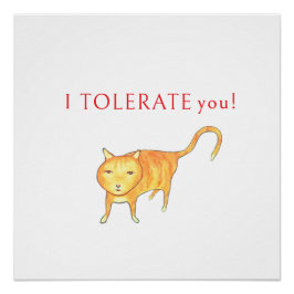 Ich dulde dich mürrische orange Katze Katzenhumor Poster