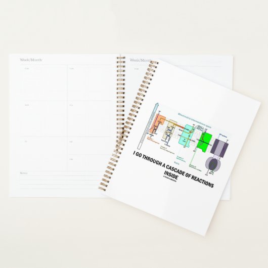 Ich durchquere eine Kaskade von Reaktionen im Inne Planer (Anzeige)