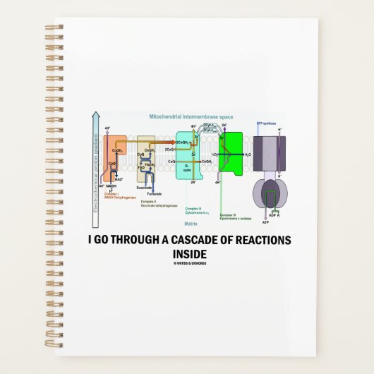 Ich durchquere eine Kaskade von Reaktionen im Inne Planer (Vorderseite)