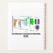 Ich durchquere eine Kaskade von Reaktionen im Inne Planer (Rückseite)